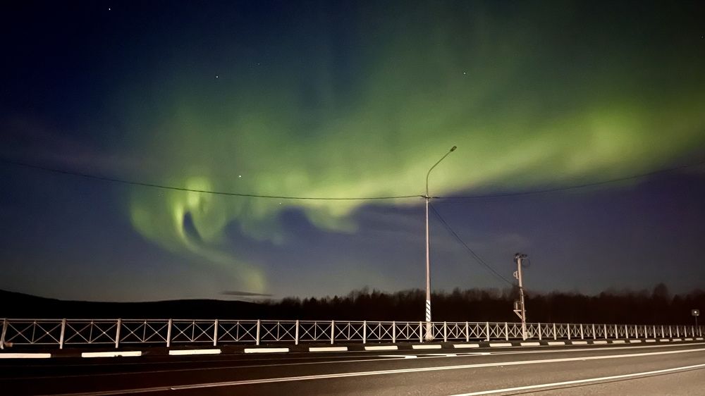 Фотография автора Юлия Шумейко