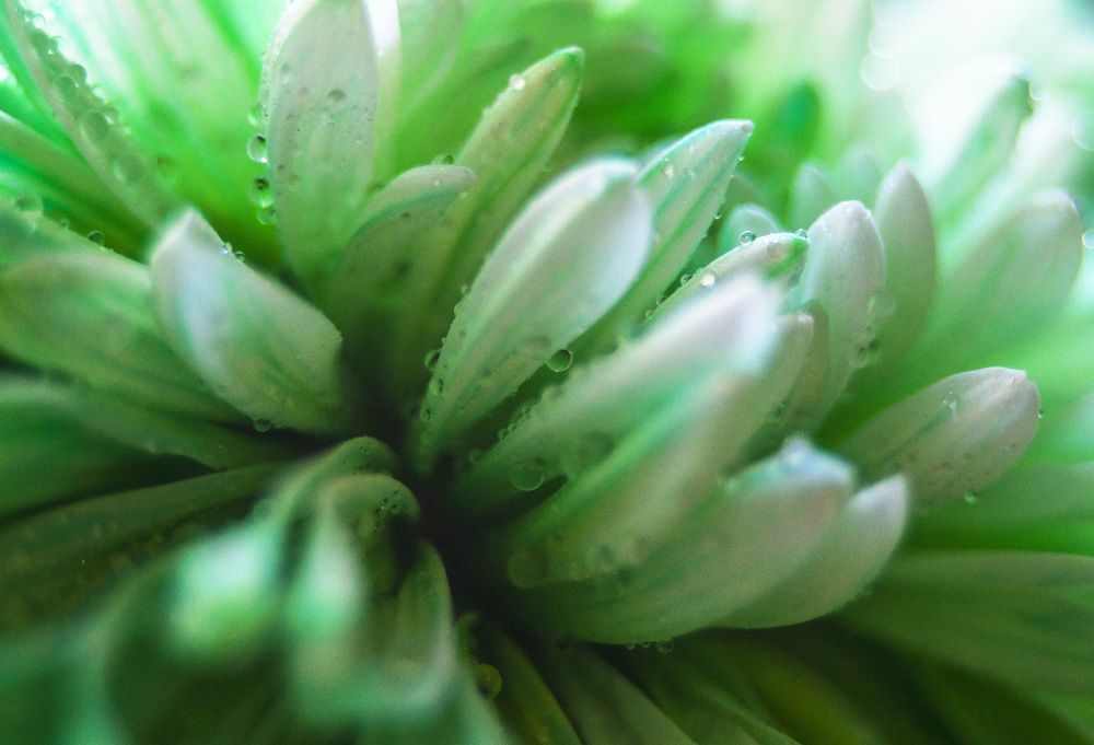 Photograph by Армашов-Тельник Григорий