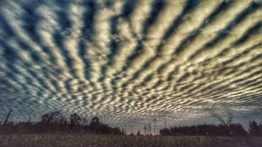 Photograph by Новикова Елена Сергеевна