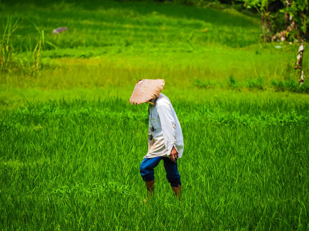 Photograph by Hardeep Solanki