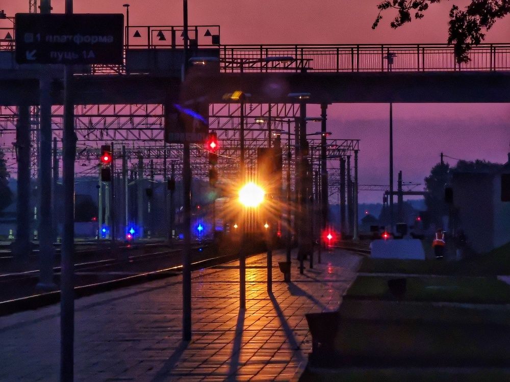 Фотография автора Дана Богинская