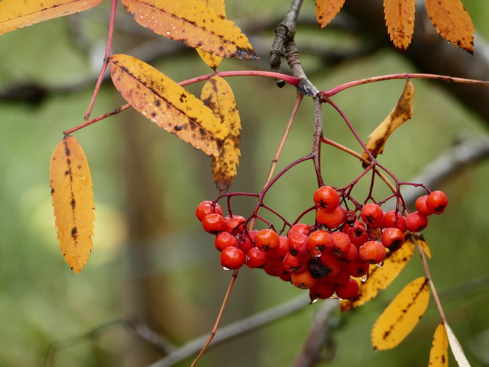 Photograph by Александр Кизим