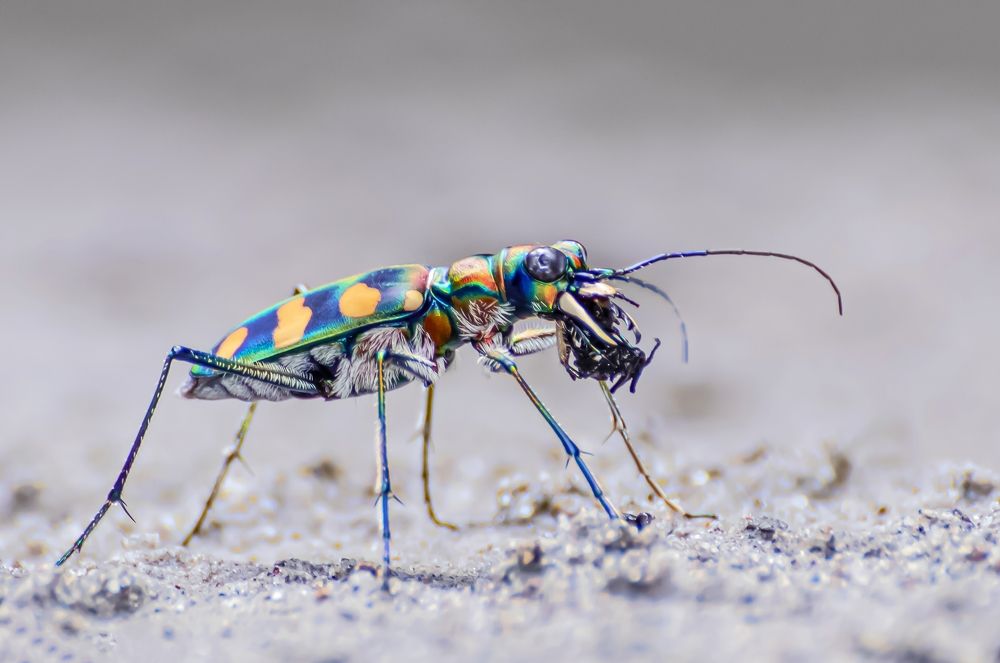 Photograph by saikat chanda