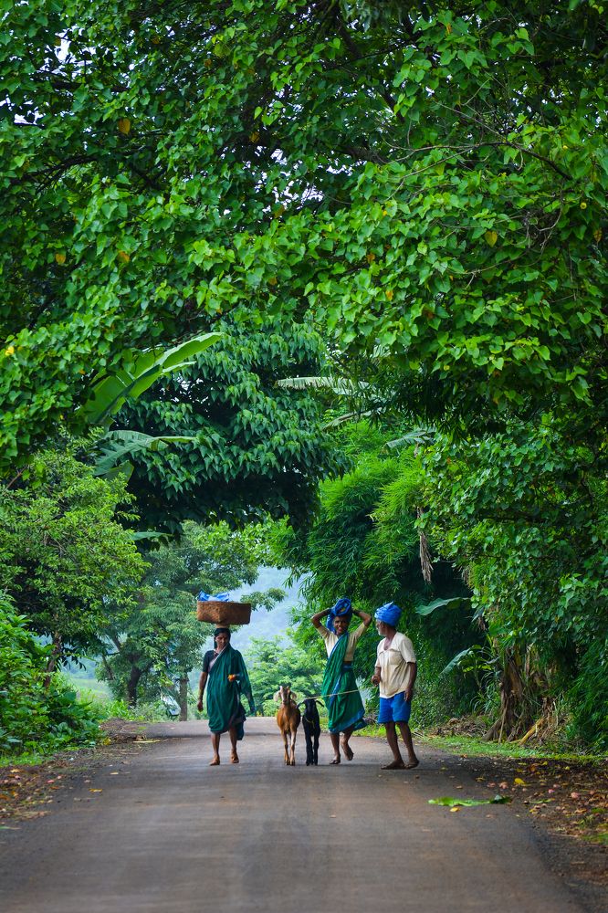 Photograph by Aniket Gurav