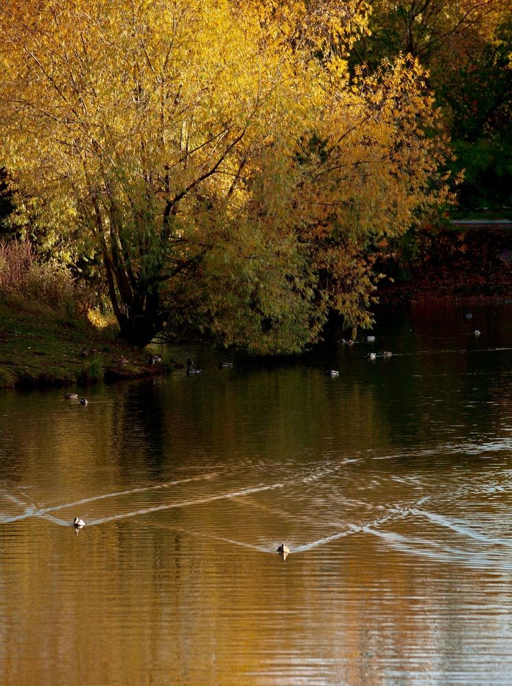 Фотография автора Galina Sa