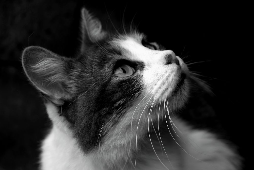 Photograph by Beatriz Games