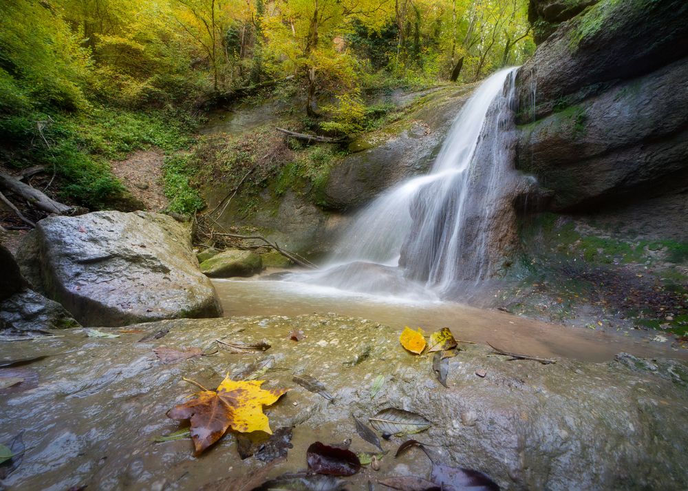 Photograph by Alexander Ornatskiy