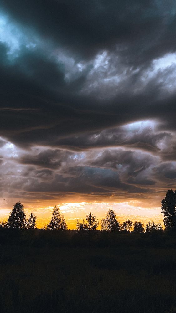 Photograph by Альбина Баташова