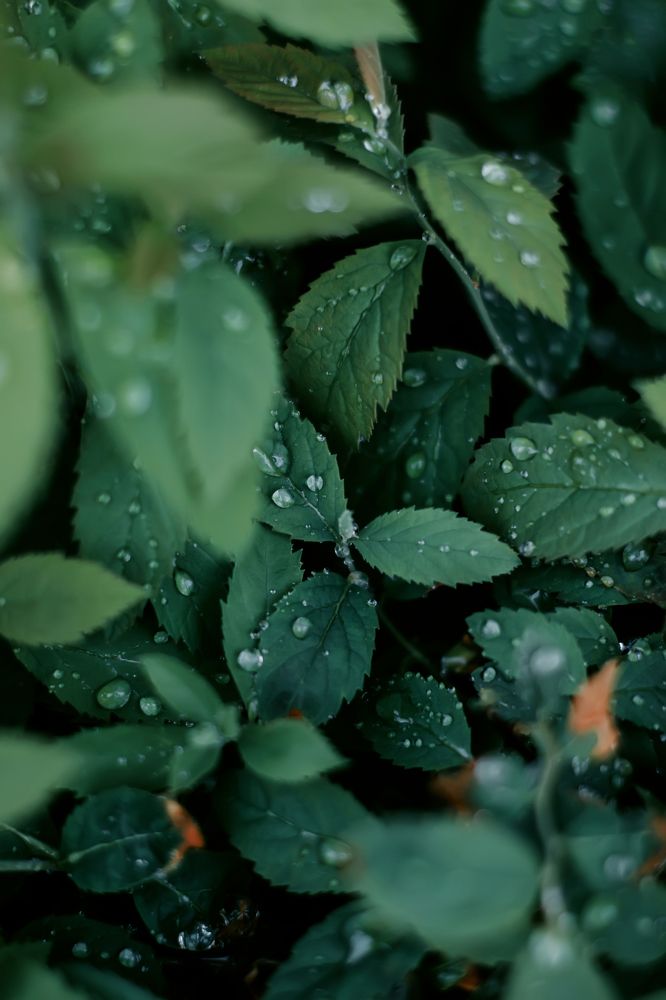 Photograph by Татьяна