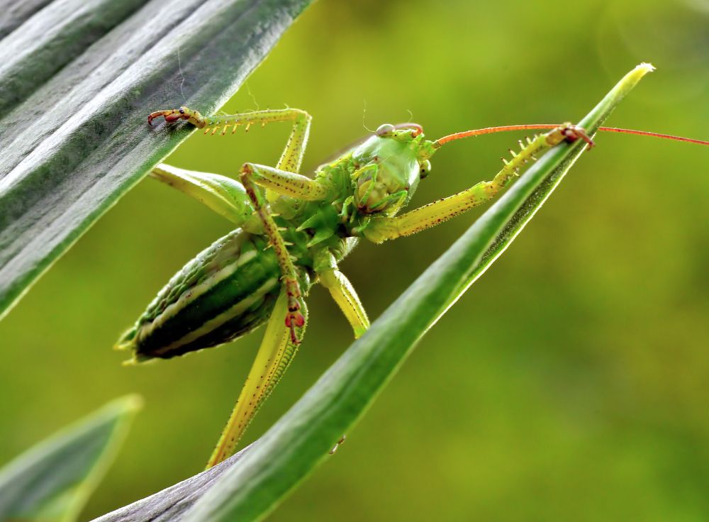 Photograph by Илфир Исламгазин