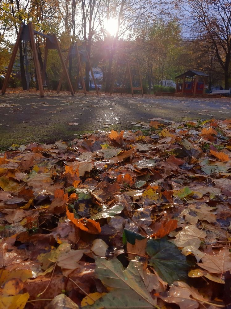 Photograph by Екатерина