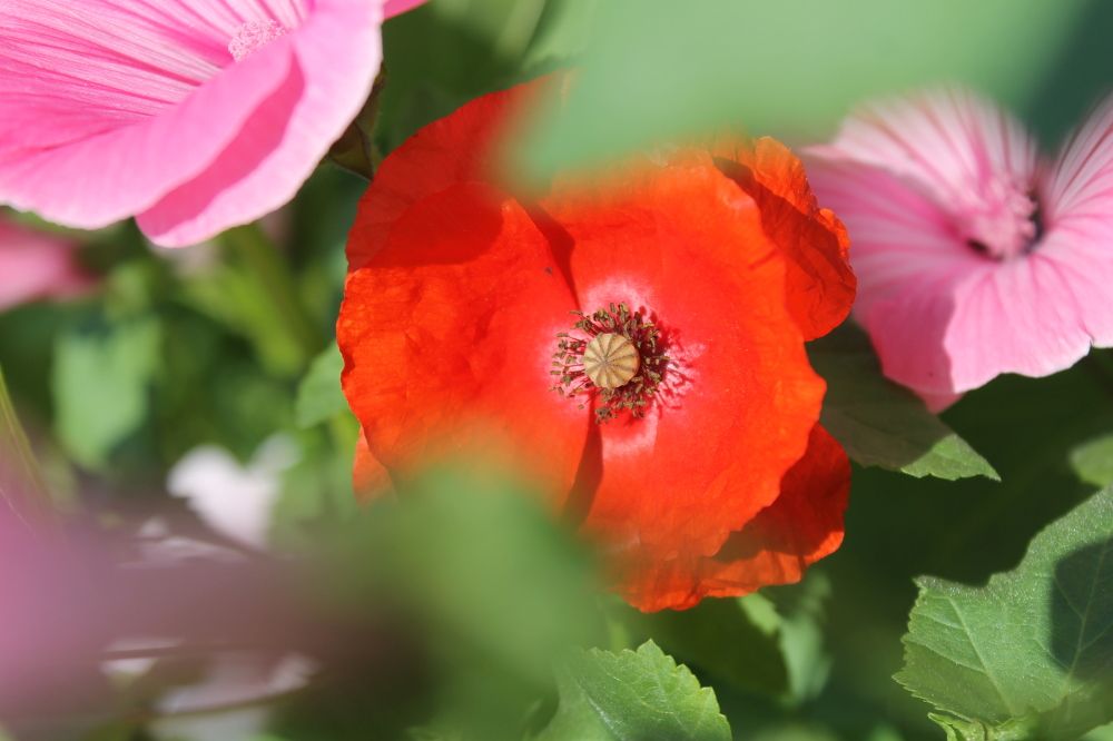 Photograph by Наталья Жигарева