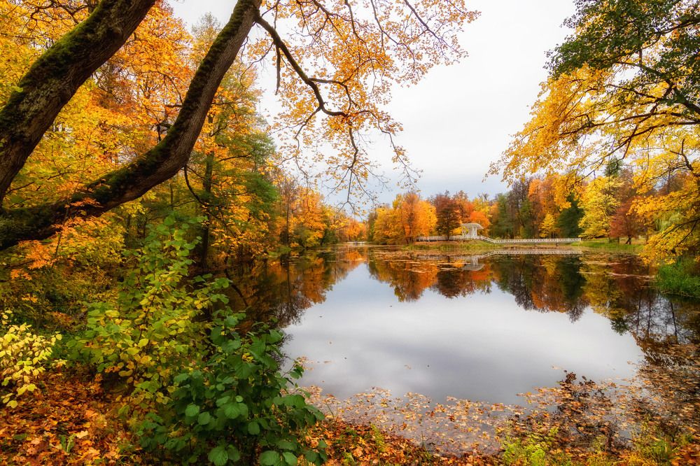 Photograph by Galina