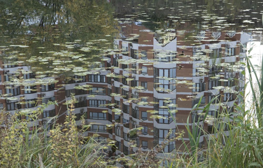 Photograph by владимир Заворотный