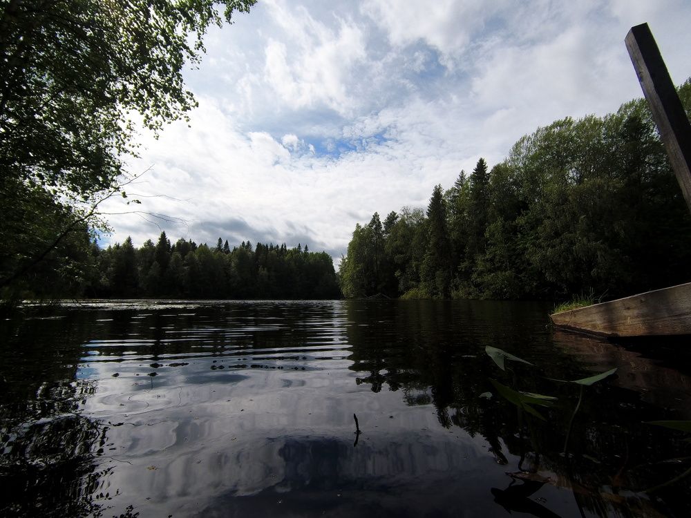 Photograph by Павел Лосев