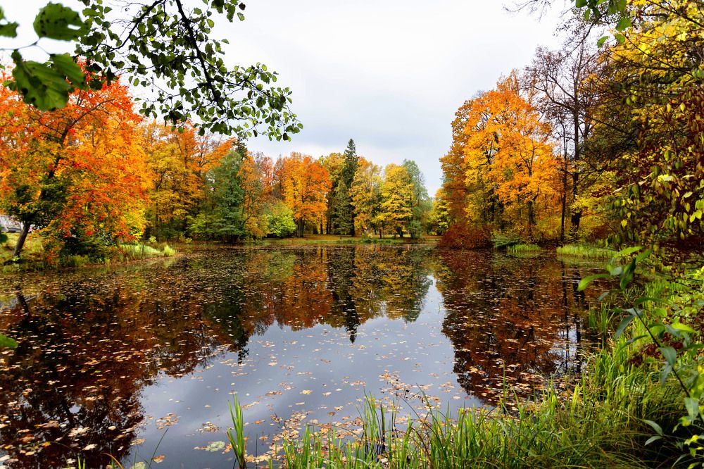 Photograph by Galina