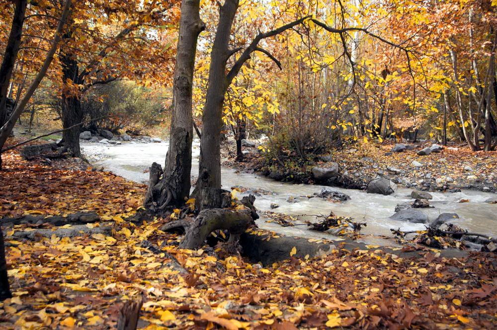 Photograph by DAMOUN POURNEMATI