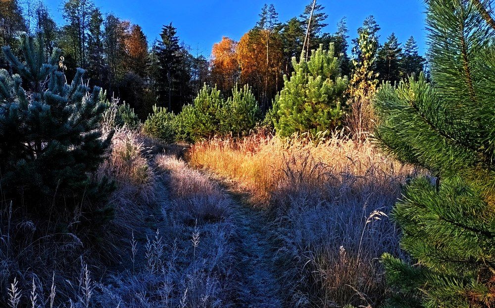 Photograph by леонид натапов