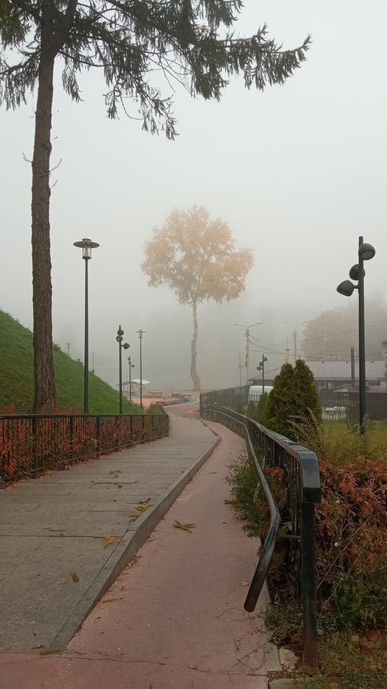 Photograph by Юлия Алексеевна