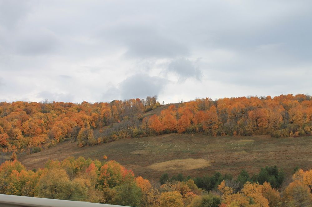 Photograph by Наталья Жигарева