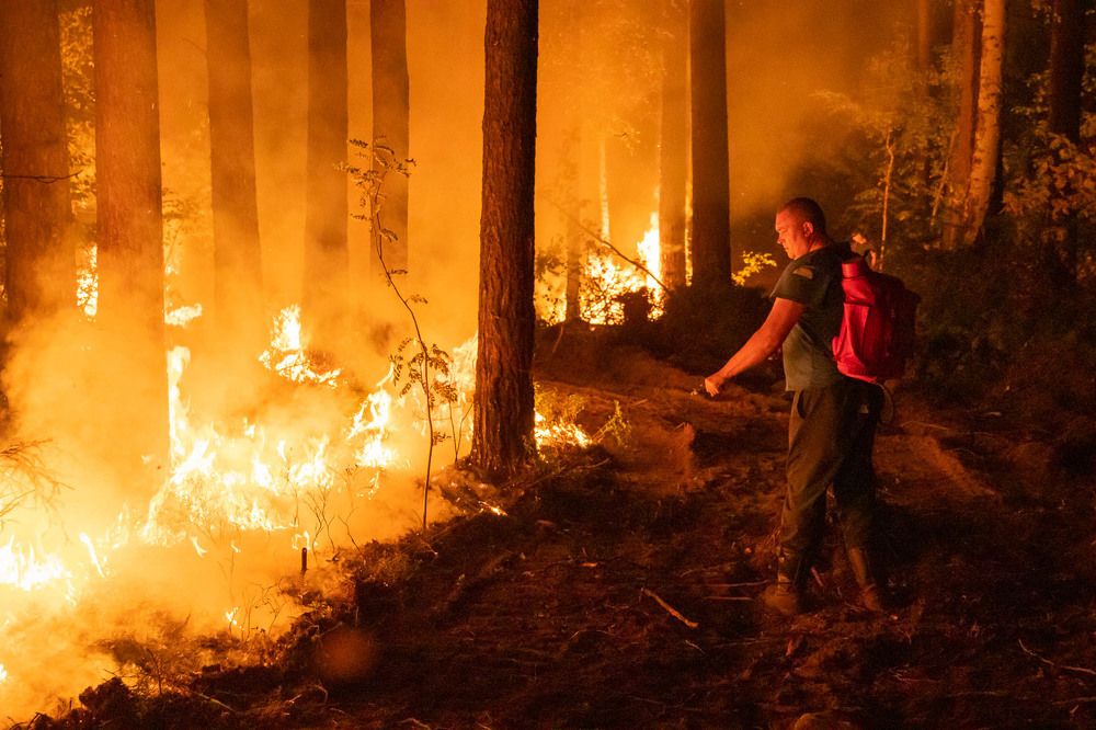 Photograph by Алексей Середенин