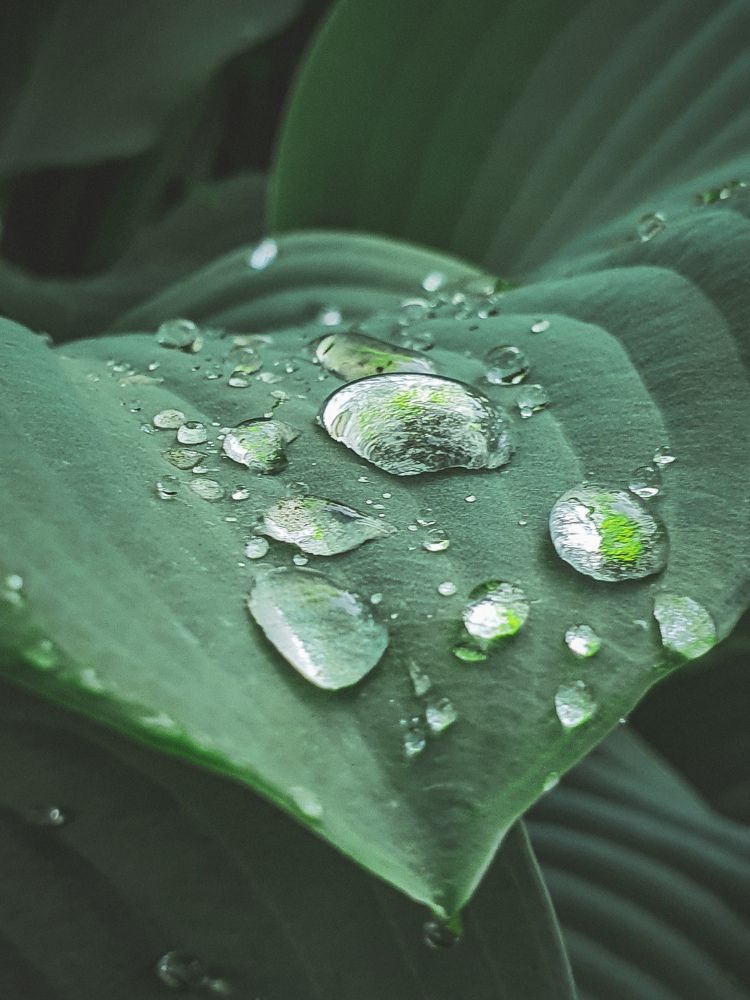 Photograph by Ангелина