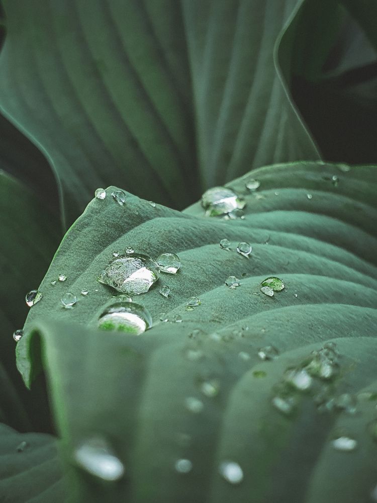 Photograph by Ангелина