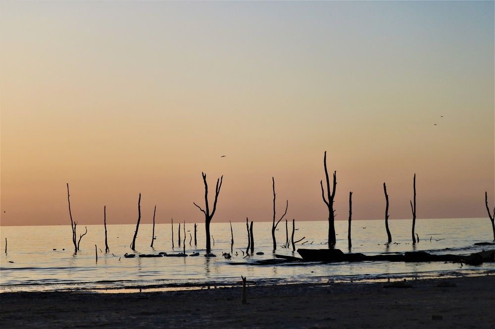 Photograph by Patricia Delionardis