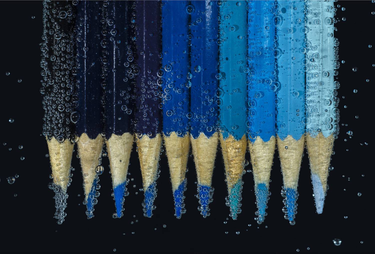 Фотография #8185483