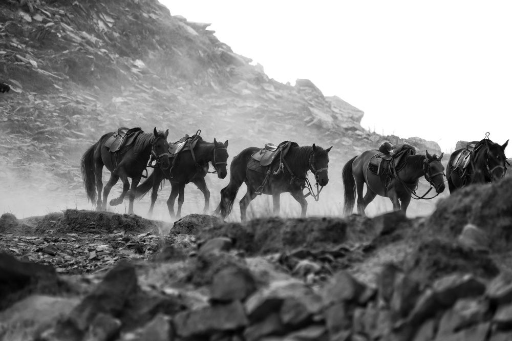 Фотография автора Елена Кириллова