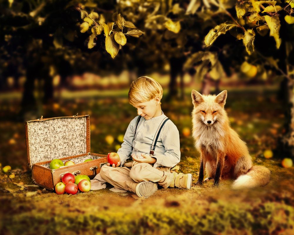 Photograph by Alexandra Whelan