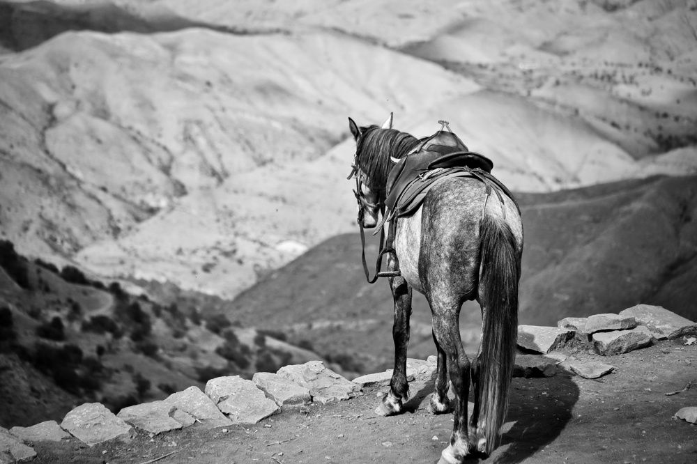 Фотография автора Елена Кириллова