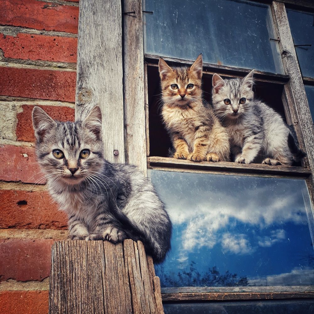 Photograph by Андрей Серый