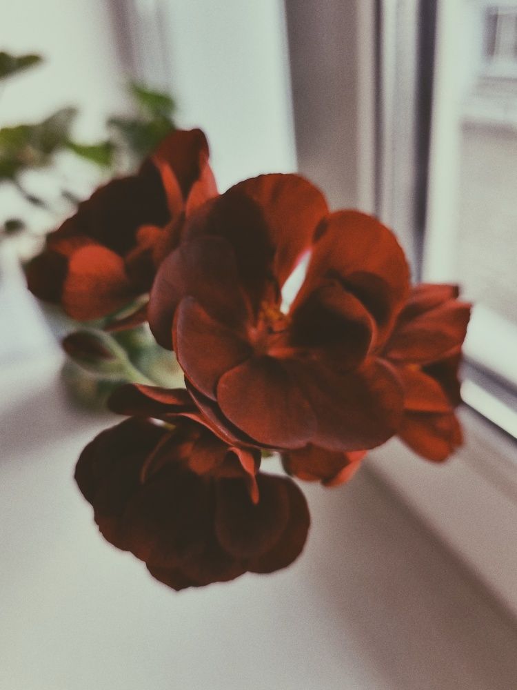 Photograph by Ирина Герлин