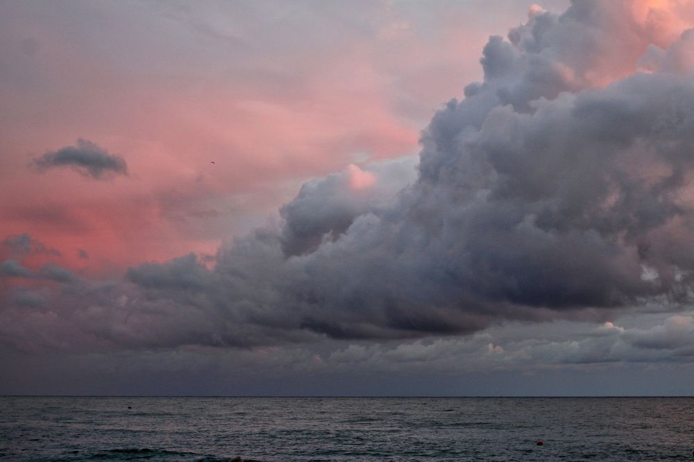 Photograph by Инна Карасева