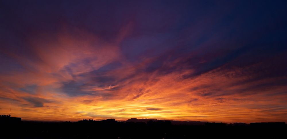 Photograph by Linda Brakus