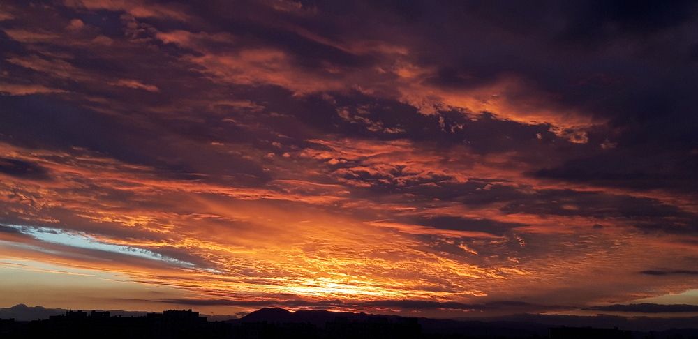 Photograph by Linda Brakus