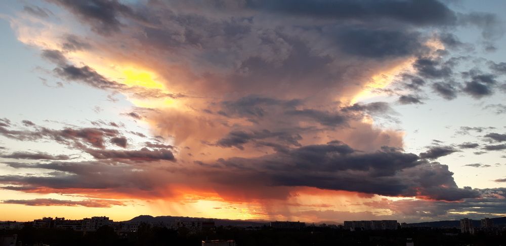 Photograph by Linda Brakus