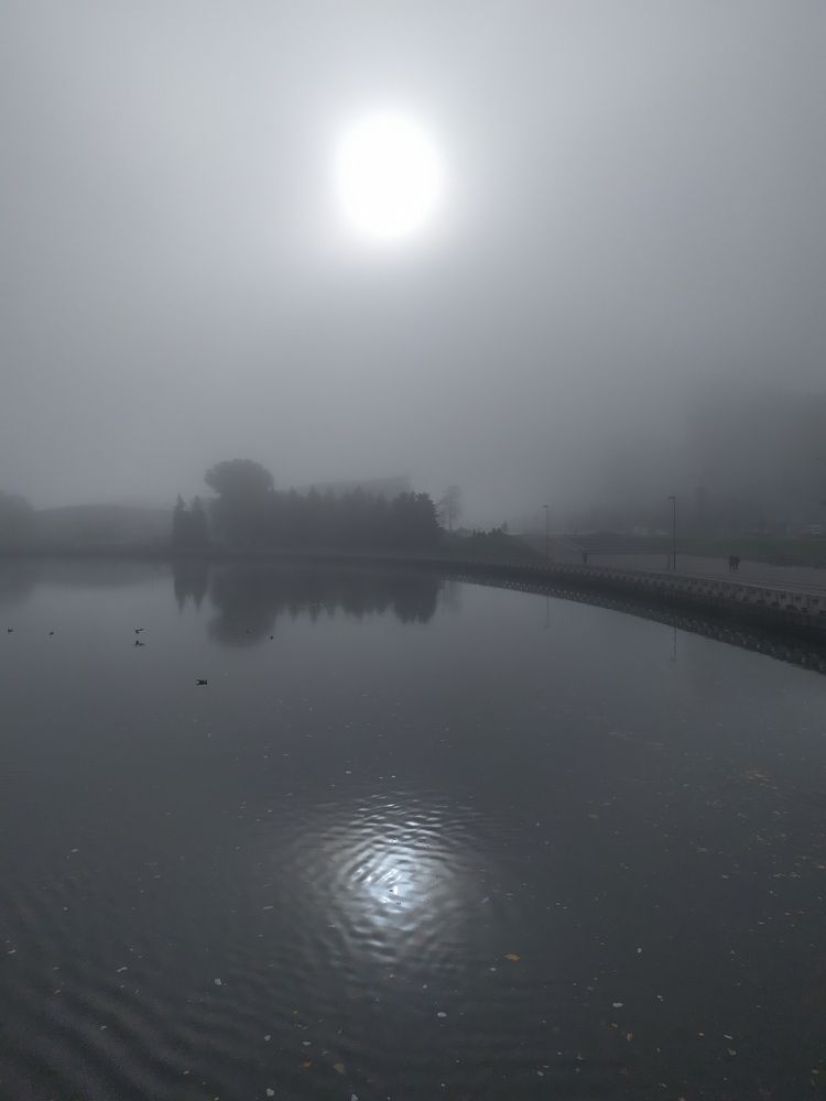 Photograph by Людмила Муравьева