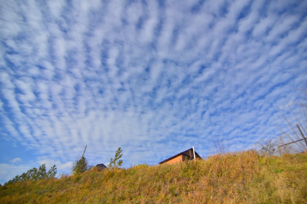 Фотография автора Клавдия Васильева