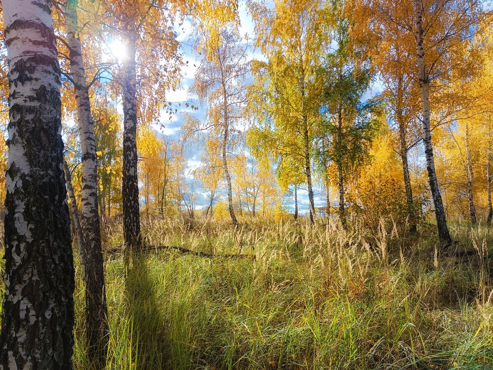 Photograph by Светлана Кондрашова