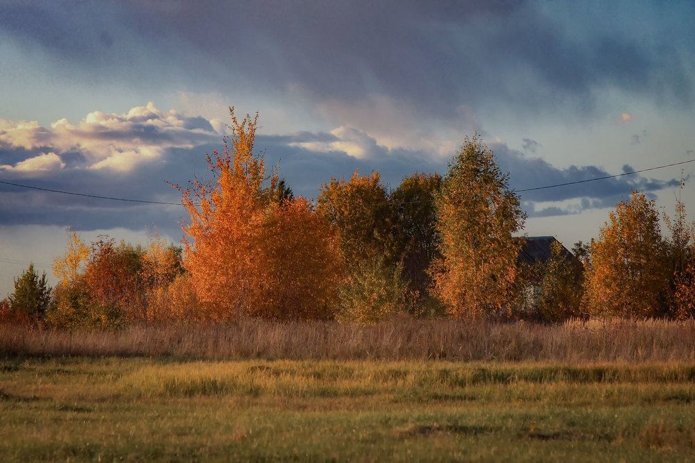 Photograph by Татьяна Шандромайло