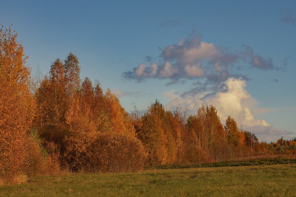 Photograph by Татьяна Шандромайло