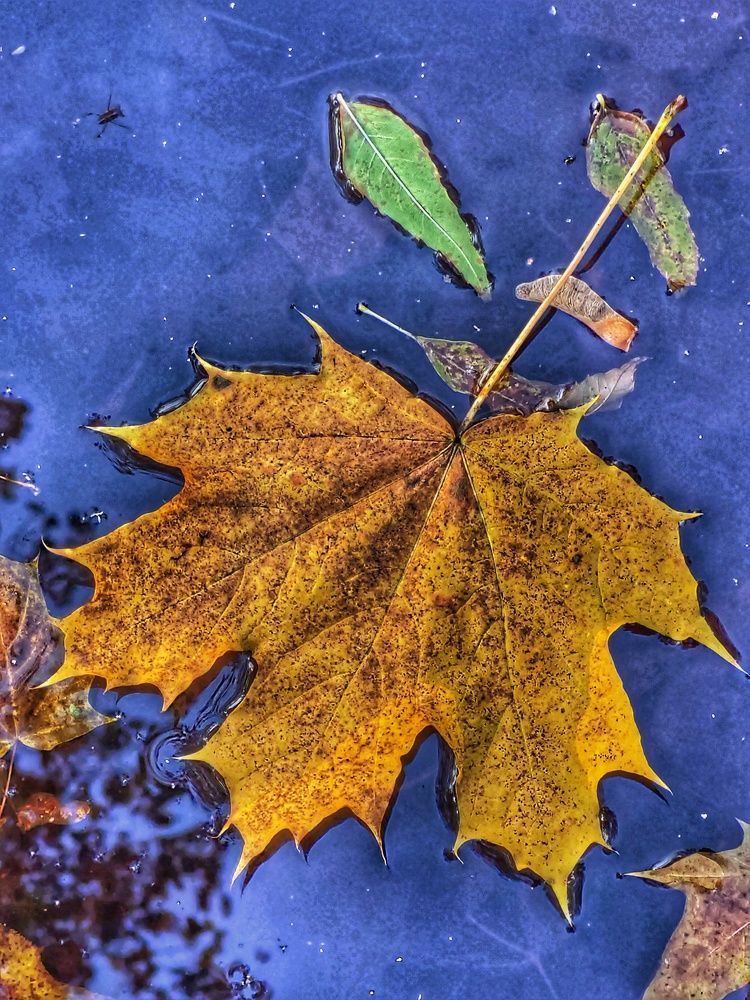 Photograph by Максим Светличный
