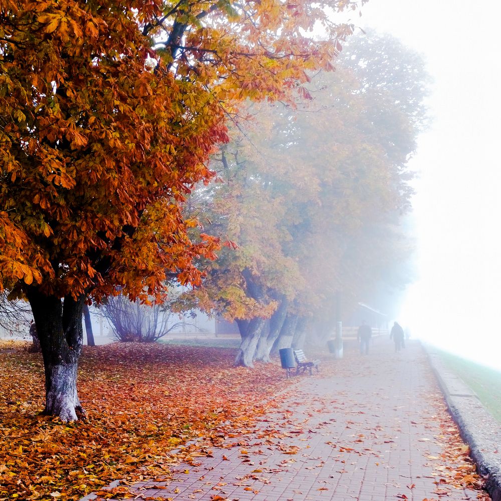 Photograph by Евгений Смирнов