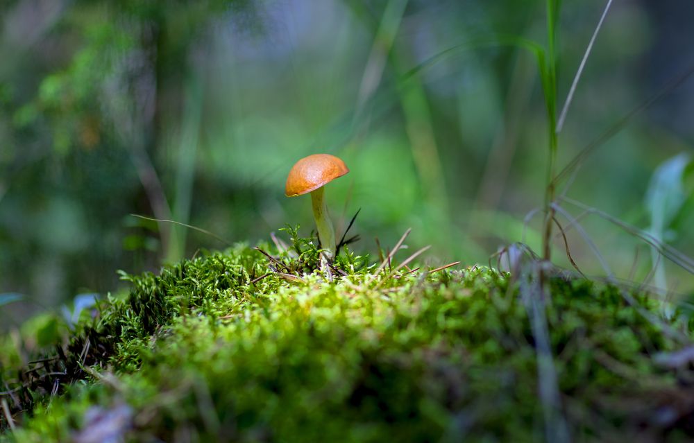 Photograph by Сергей Абашкин