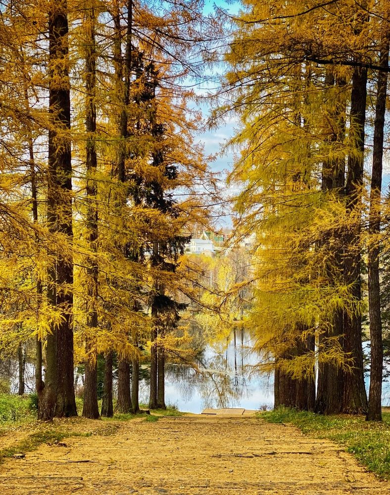 Фотография автора Евгения Иванова