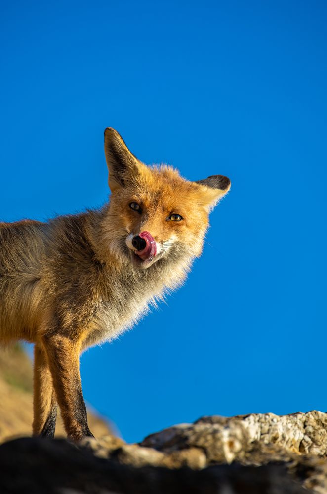 Photograph by Александр Шинкаревский