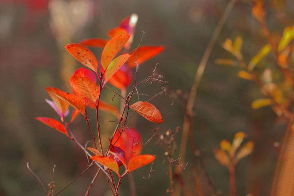 Photograph by Татьяна Шандромайло