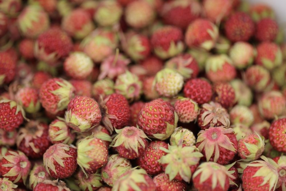 Photograph by Ольга Одаренко